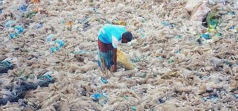 Plastics lifecycle